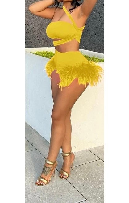 Two Piece Feather Skirt Set (3 Colors)