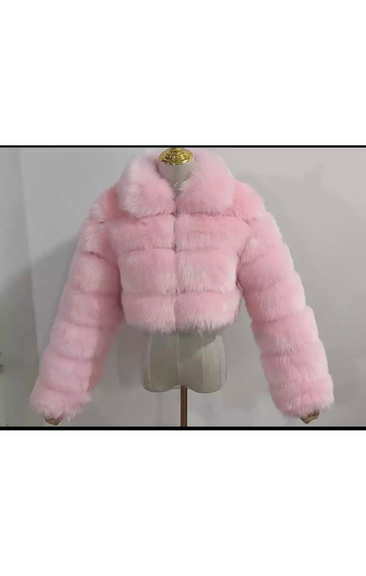 Women’s Short  Fluffy Jacket - Faux Fur (Many Colors)