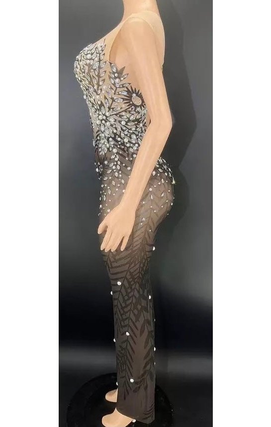 Sequin Transparent Long Beads Party Dress Plus Sizes Available (Many Sizes)  (Many Colors)