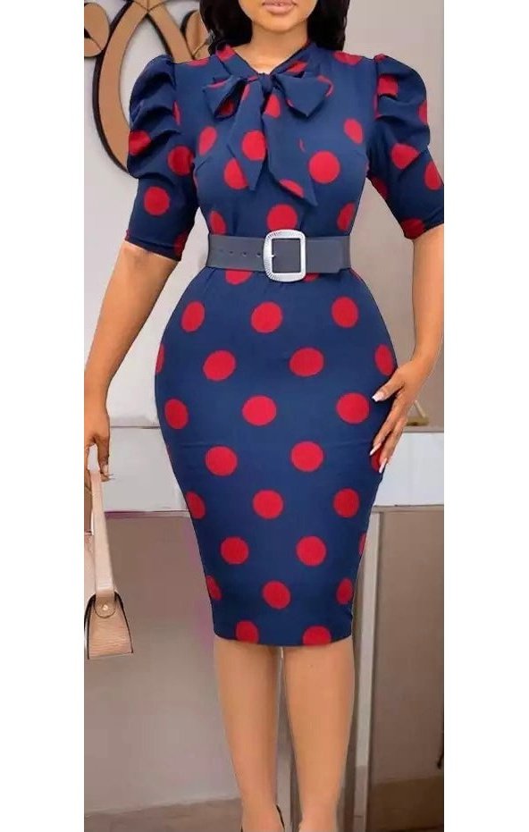 Polka Dot Print Long Sleeve Belted Dress (2 Colors)