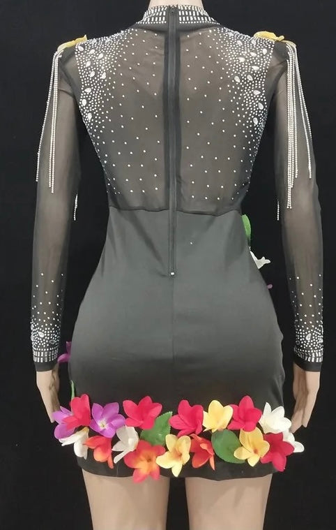 Black Sequin  Long Sleeve Transparent Multicolored Floral Stones Party Dress
